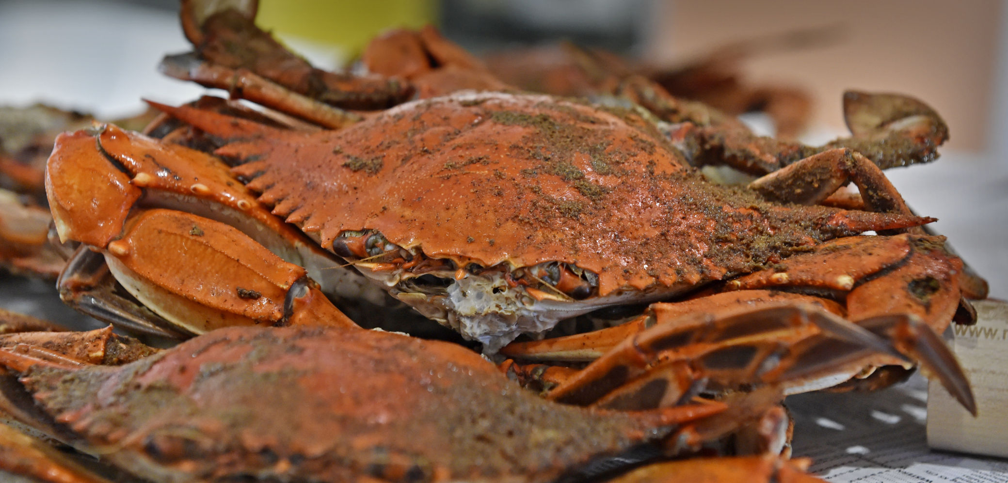 Steamed Crabs at Mr. Bill's